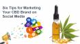 Six Tips for Marketing Your CBD Brand on Social Media PowerPoint PPT Presentation