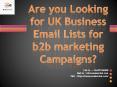 Looking for UK Buisness Email Lists? PowerPoint PPT Presentation
