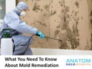 What You Need To Know About Mold Remediation?