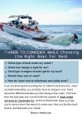 Things To Consider While Choosing the Right Boat For Rent PowerPoint PPT Presentation