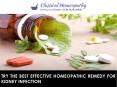 Try the Best Effective Homeopathic Remedy for Kidney Infection PowerPoint PPT Presentation