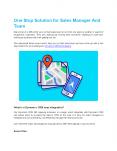 One Stop Solution for Sales Manager And Team PowerPoint PPT Presentation