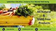 Lyfetrition Citicoline - Enhance Your Mental Well-Being