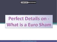 Perfect Details on - What is a Euro Sham