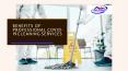 Benefits Of Professional Covid-19 Cleaning Services PowerPoint PPT Presentation