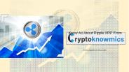 Know All About Ripple XRP From Cryptoknowmics