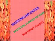 Valentines Day Photos Pics Wallpapers