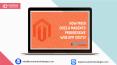 How much does a Magento Progressive Web App Costs? PowerPoint PPT Presentation