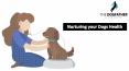 Nurturing your Dogs Health PowerPoint PPT Presentation