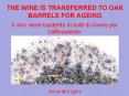 Accordini Igino | Il vino viene trasferito in botti di rovere per l'affinamento PowerPoint PPT Presentation