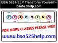 BSA 525 HELP Transform Yourself--bsa525help.com PowerPoint PPT Presentation