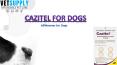 Buy Cazitel Allwormer for Dogs at best price in Australia - VetSupply
