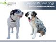 Buy Comfortis Best Flea Treatment for Dogs at best price in Australia - VetSupply