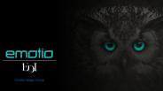 SEO Marketing Company