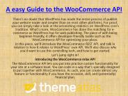 A easy Guide to the WooCommerce API