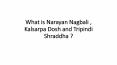 What is Narayan Nagbali , Kalsarpa Dosh and Tripindi Shraddha ? PowerPoint PPT Presentation