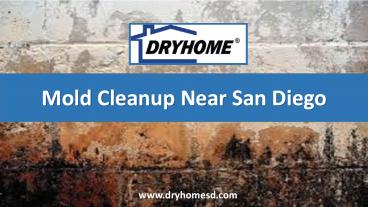 Mold Removal and Cleanup cost near me