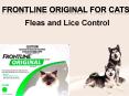 Buy Frontline Original Best Flea Treatment for Cats at best price in Australia - VetSupply