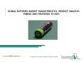 Batteries Market Research Analysis, Industry Share Report To 2025 PowerPoint PPT Presentation