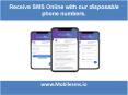 Receive Sms Online With Our Disposable Phone Numbers PowerPoint PPT Presentation