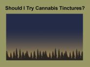 Should I Try Cannabis Tinctures?