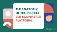 The Anatomy of the Perfect B2B ecommerce platform