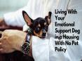 Living With Your Emotional Support Dog in a Housing With No Pet Policy PowerPoint PPT Presentation