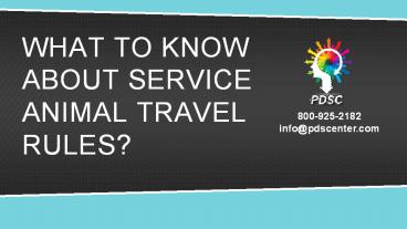 What to know about service animal travel rules