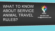What to know about service animal travel rules