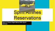 How to check your flight status with Spirit Airlines