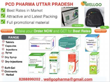 PCD Pharma franchise Uttar Pradesh