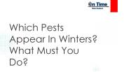Which Pests Appear In Winters? What Must You Do?