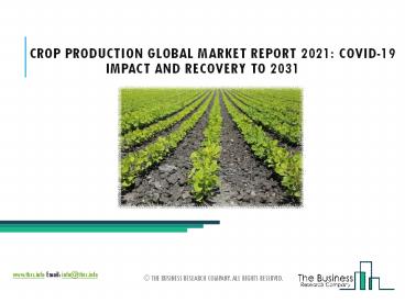 Crop Production Market Business Strategies By Top Companies, Drivers, Market Size To 2025