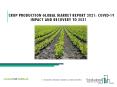 Crop Production Market Business Strategies By Top Companies, Drivers, Market Size To 2025 PowerPoint PPT Presentation