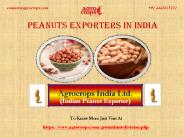 Best Peanuts Exporters In India For You