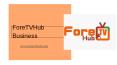 ForeTVHub (1) PowerPoint PPT Presentation