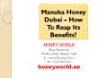 honeyworld (8) PowerPoint PPT Presentation