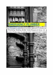 Plumer London