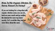 Organic chicken in Surrey (7)