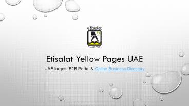 UAE largest B2B Portal & Online Business Directory (1)