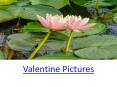 Valentines Day Pictures Wallpapers PowerPoint PPT Presentation