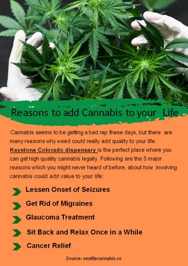 Reasons to have Cannabis in your Life