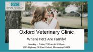 The Best Guide To Pet Care & Grooming