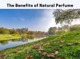 The Benefits of Natural Perfume – Melis Natural Perfume PowerPoint PPT Presentation