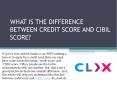 WHAT IS THE DIFFERENCE BETWEEN CREDIT SCORE AND CIBIL SCORE? PowerPoint PPT Presentation