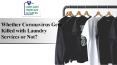 Whether Coronavirus Gets Killed with Laundry Services or Not? PowerPoint PPT Presentation