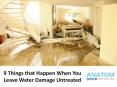 9 Things that Happen When You Leave Water Damage Untreated PowerPoint PPT Presentation