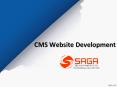 CMS Website Development Hyderabad, CMS Web Development Company in Hyderabad - Saga Biz Solutions PowerPoint PPT Presentation