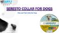 Buy Seresto Flea and Tick Collar for Cats at best price in Australia - VetSupply (1)