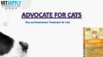 Buy Advocate Flea and Heartworm Treatment for Cats at best price in Australia - VetSupply